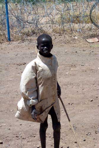 Turkana Boy