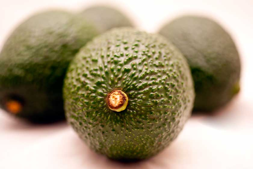 lush kenyan avocado for export photo by rob rooker aka gigglingbob