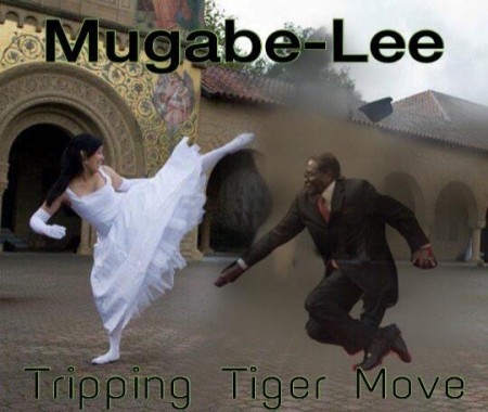 trippingtigerMugabe #MugabeFalls